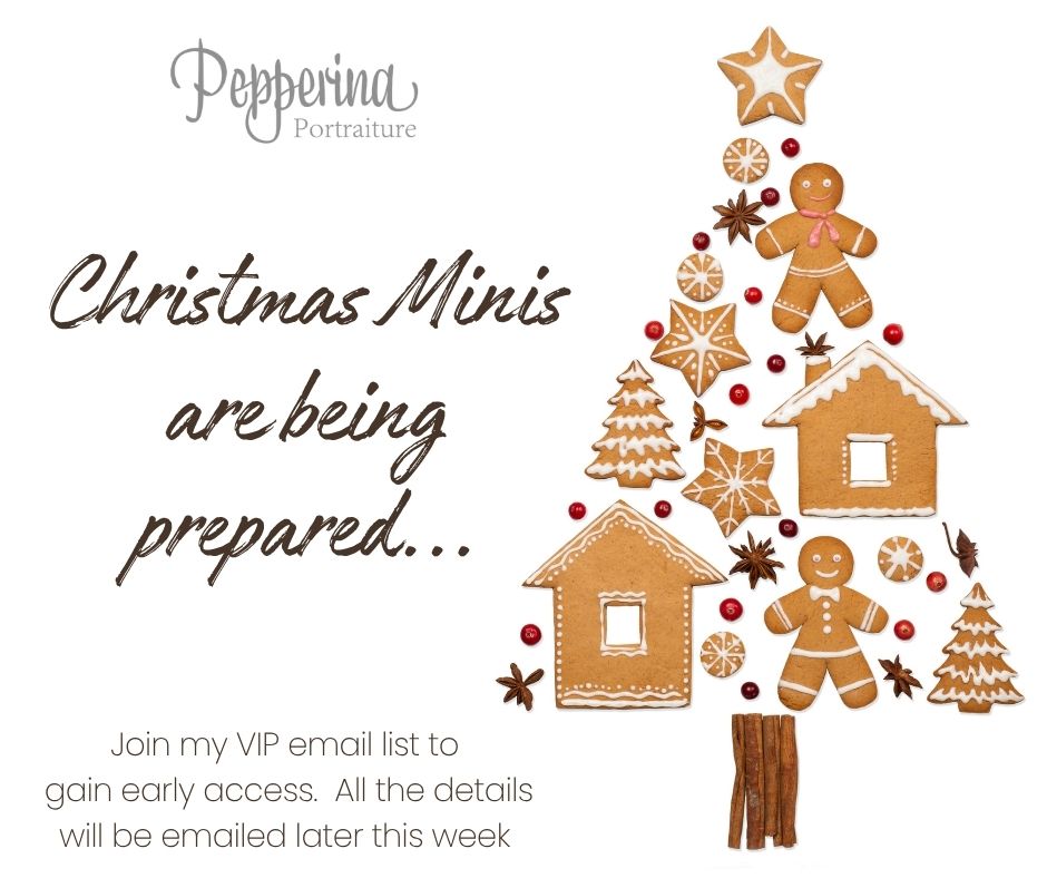 The Most Scrumptious Time of the Year.....

I am bringing all the ingredients together to create some amazing Christmas photo opportunities this year for you and your family.  While I finish preparing, you should make sure you are on my VIP email list so that you have early access to my Christmas Mini booking.  Once again the main event will be held one day ONLY!

To join my email list simply message me with your email address and ask to be put on my VIP email list.