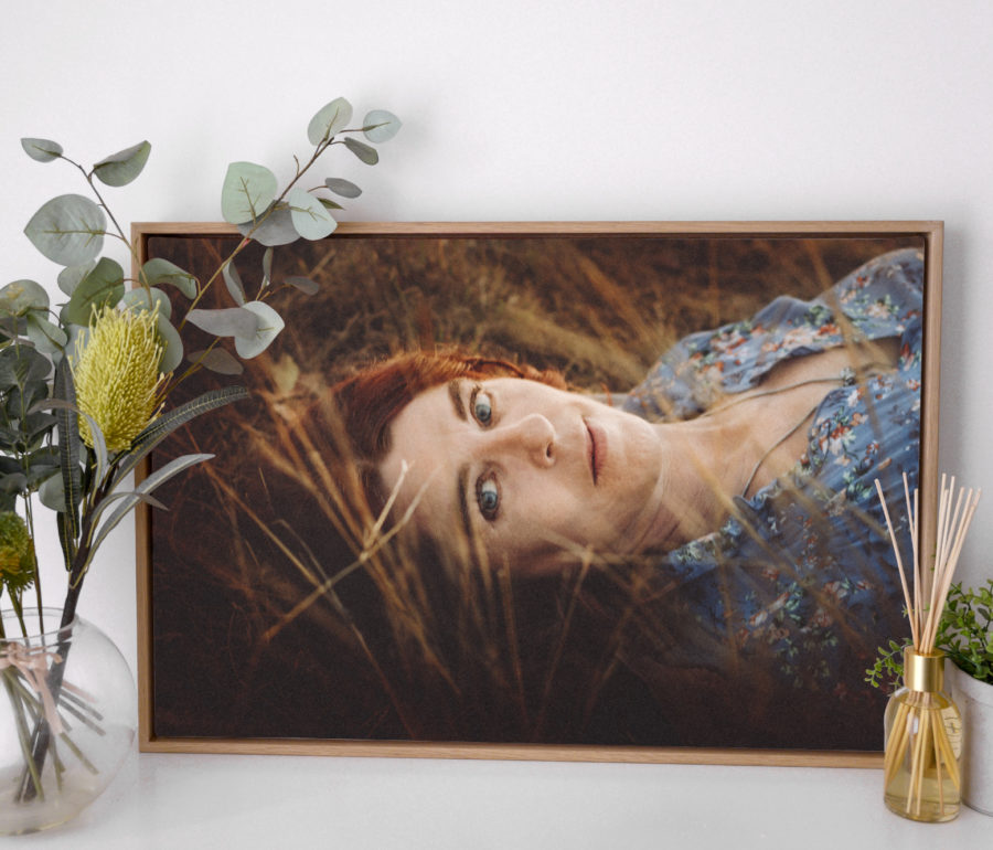 Framed Canvas Print